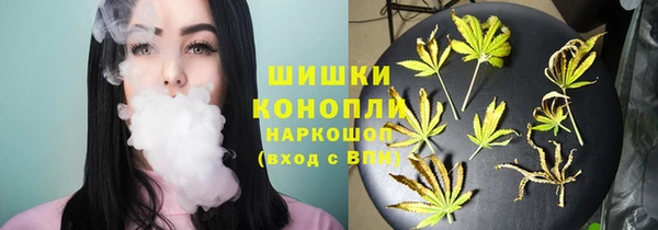 мет Касимов
